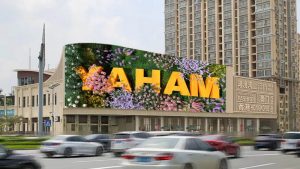 Yaham Mid-year Highlights